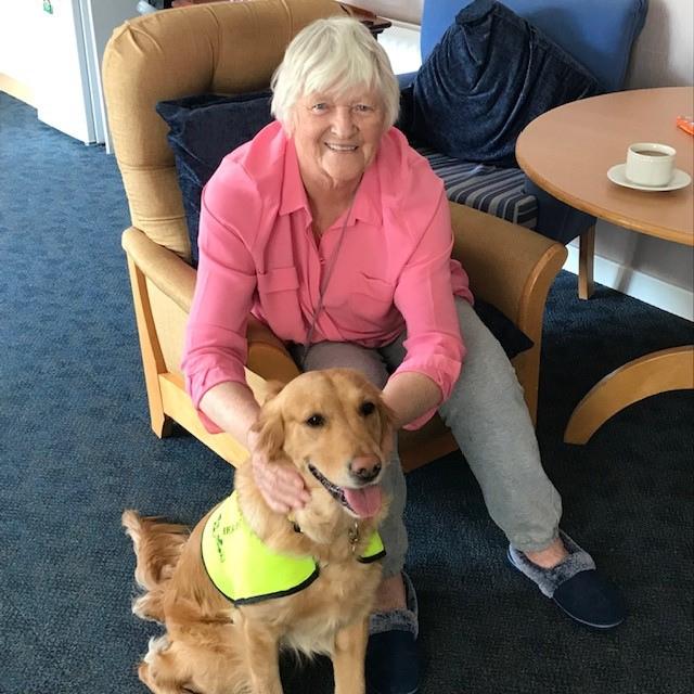 Foxy the therapy dog sitting with female tenant 