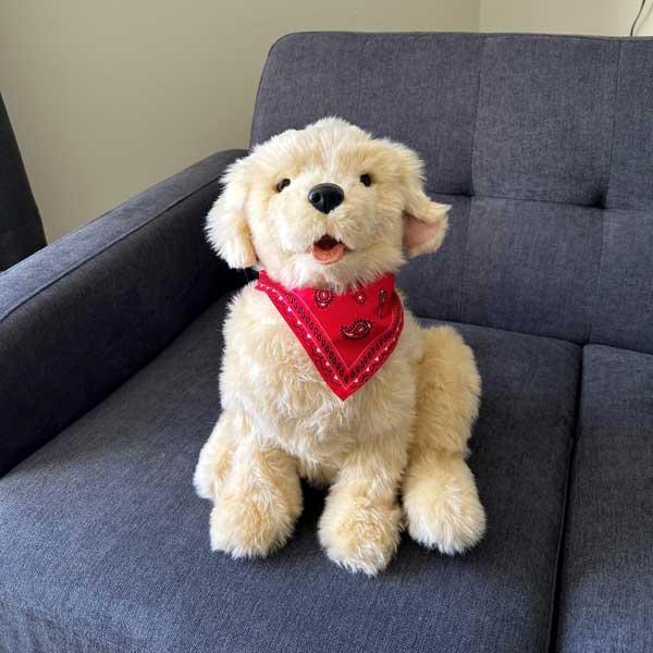 Robotic Companion Pet